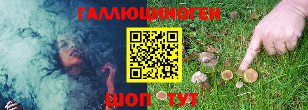 Армавир  Псилоцибиновые грибы Psilocybe  Вход с VPN 