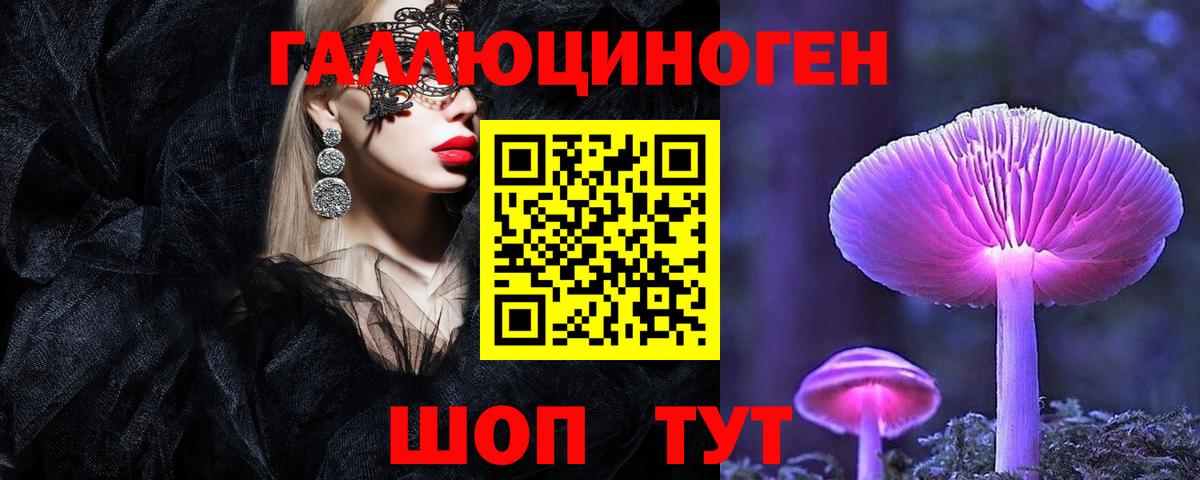 Псилоцибиновые грибы Cubensis Армавир